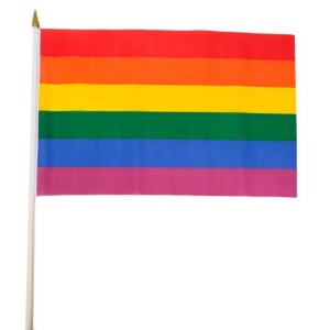 GS rainbow handheld flag