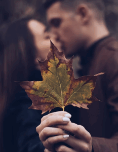 autumn