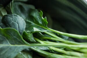 vegetables vegetables