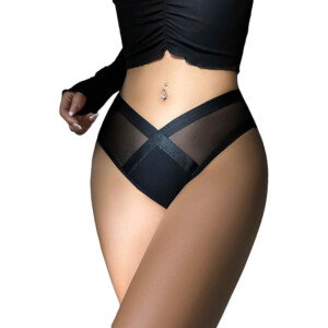 Black Sheer Mesh V-Panel Panty Brief - XL