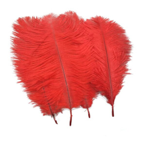 Sensual Red Feather Ticklers - Pack of 25