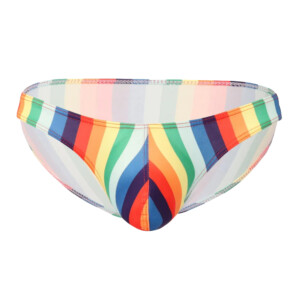 Men's Hip Hugger Rainbow Micro Briefs Underwear - Large
