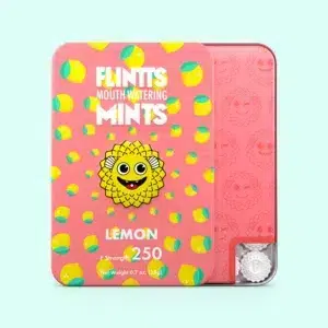 Flints lemon mints tin with colorful design.