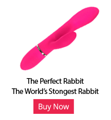 the perfect rabbit vibrator review