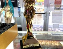 Romantic Depot AVN Award Romantic Depot wins AVN Award for Best Retail Chain in adult toy industry