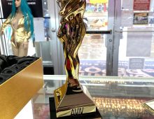 Romantic Depot wins AVN Award for Best Retail Chain in adult toy industry